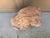 Vintage Italian Provincial Cast Concrete Lion Garden Statue With Weathered Terracotta Finish For Sale In South Bend - Image 6 of 12