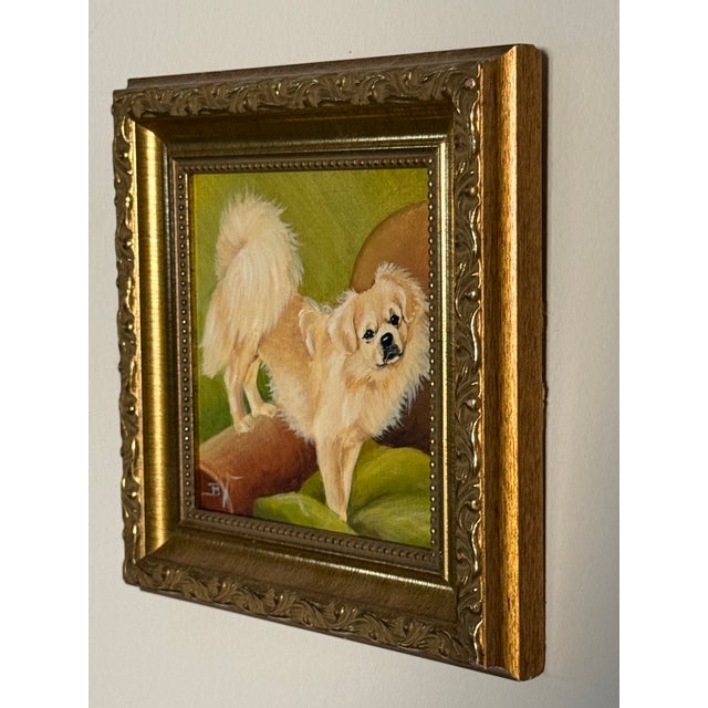 Absolutely adorable small ornately framed oil portrait of a Pekingese standing on a club chair, likely mid to later 20th...