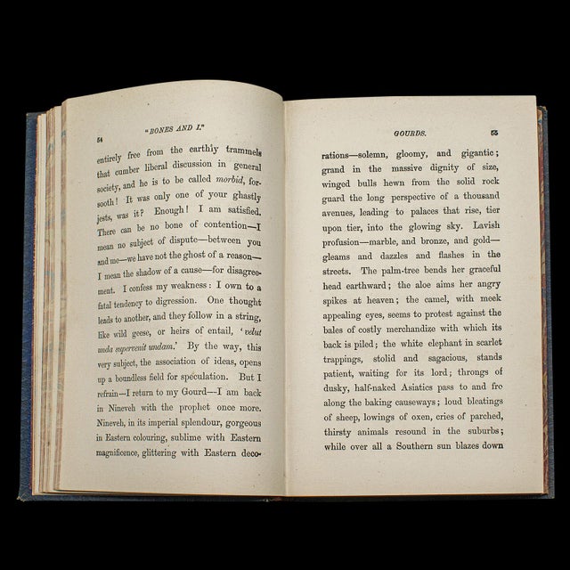 Paper 1880's Antique Book Bones and I For Sale - Image 7 of 12