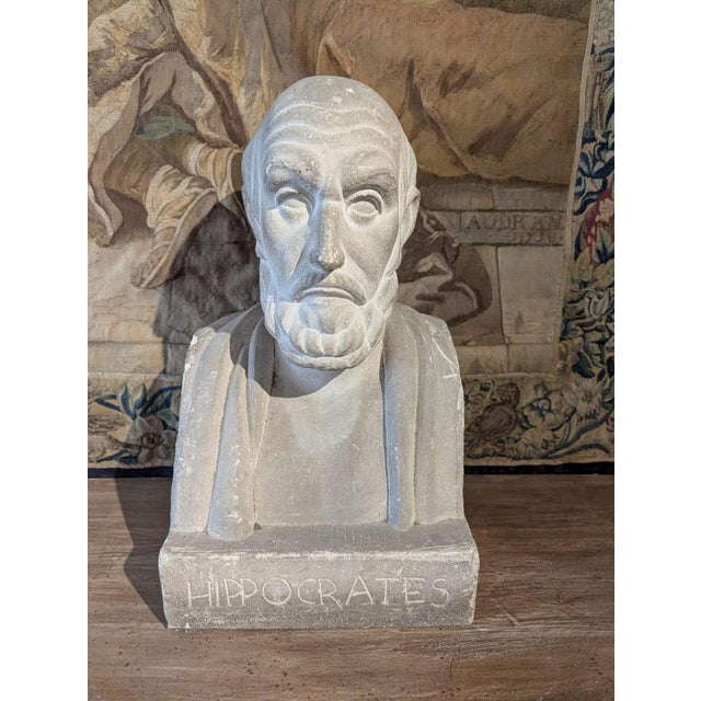 French School Artist, Bust of Hippocrates, 19th Century, Stone For Sale - Image 11 of 13
