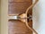 Chair designed and produced in Portugal, The designer , Martins Machado, created thes chairs in 70s, using molded plywood...