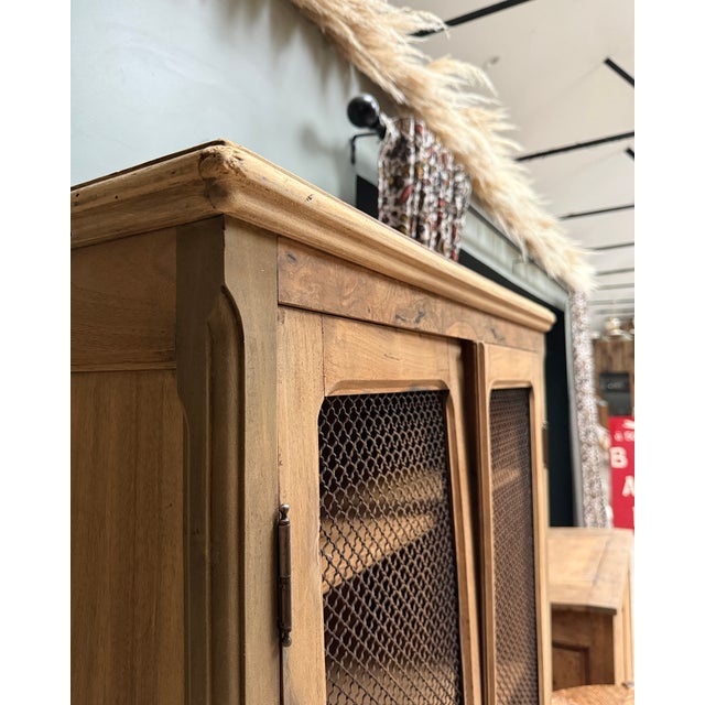 Antique Library with Wire Mesh Doors, 1890s For Sale - Image 3 of 16