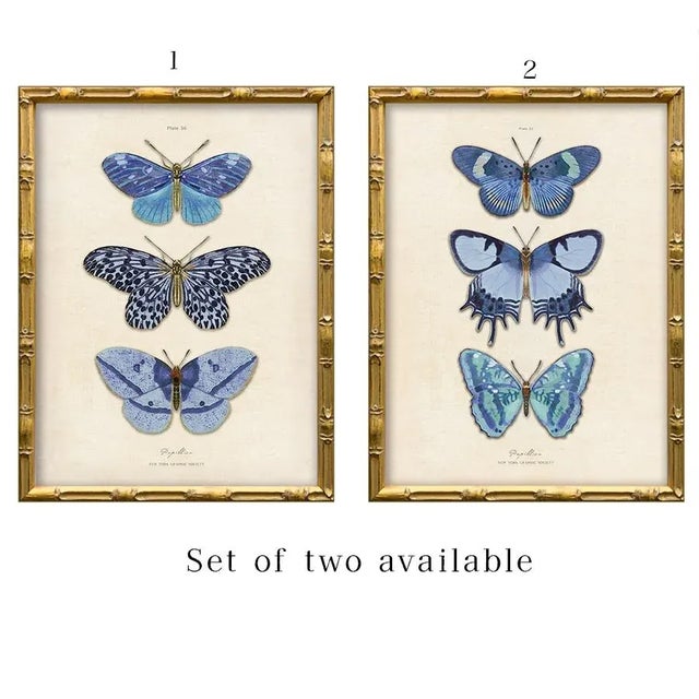 2020s Reproduction Vintage Blue Butterfly Art Print (2), Framed For Sale - Image 5 of 5