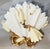 English Late 19th Century Moore Bros Porcelain Cactutus Flower Vases, Set of 4 For Sale - Image 3 of 13