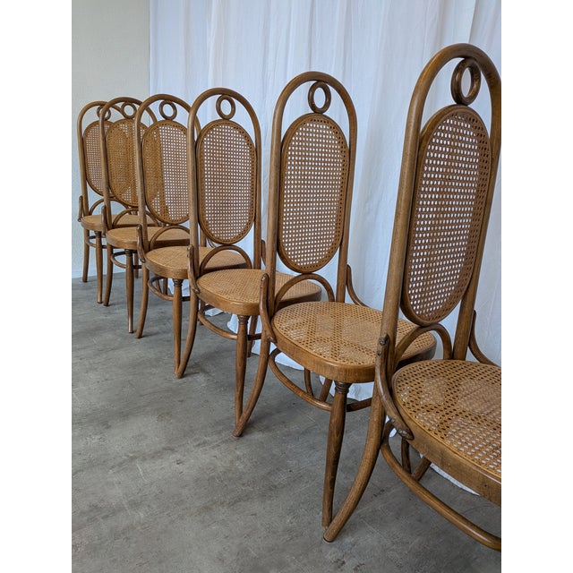 1970s Vintage Bentwood Cane Dining Chairs, 1970s, Set of 6 For Sale - Image 5 of 18