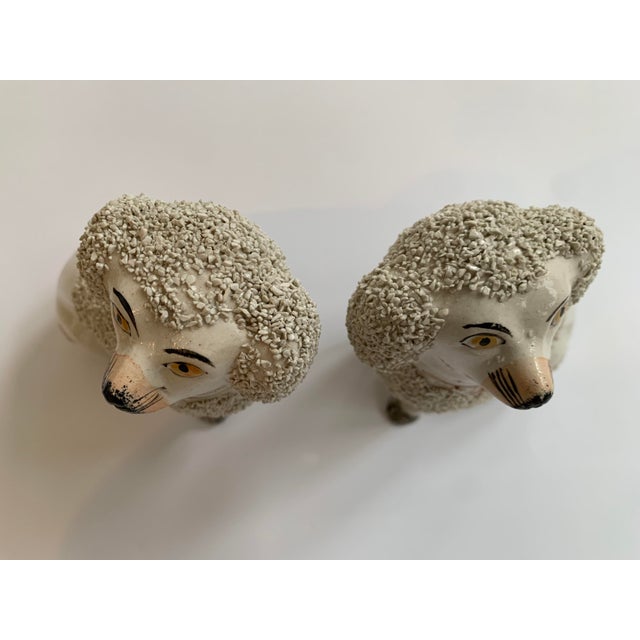19th Century Staffordshire Poodles - a Pair For Sale - Image 10 of 13