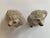 19th Century Staffordshire Poodles - a Pair For Sale - Image 10 of 13