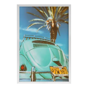 California Beetle by Jens Ochlich Print with White Frame - 16 X 24