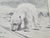 I am offering a collector’s lithograph depicting a polar bear, signed by Fridtjof Nansen. This piece comes with an...