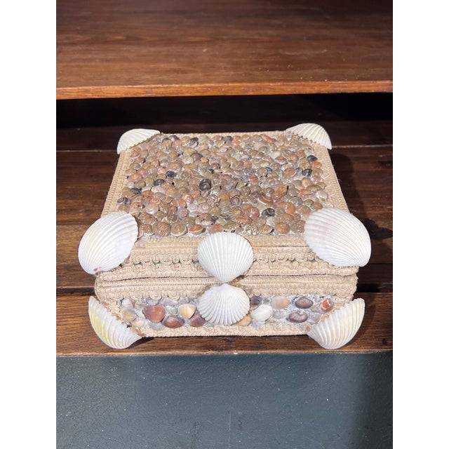 Baroque Vintage Mediterranean Grotto Style Decorative Box With Velvet Interior For Sale - Image 3 of 13
