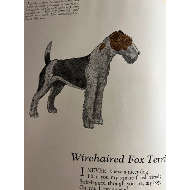 1927 Dogs by Julius King Book For Sale - Image 10 of 13