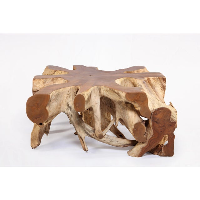 Contemporary Square 36" Inch Organic Teak Root Coffee Table 53 For Sale - Image 3 of 6