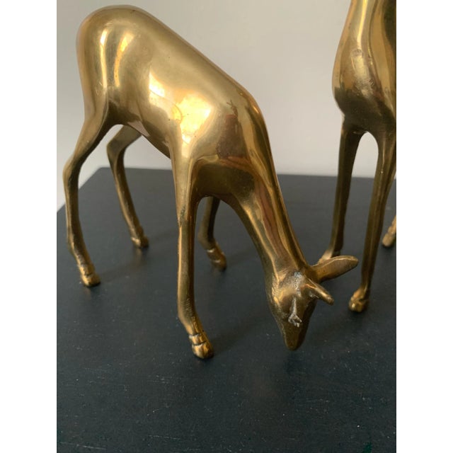 Mid 20th Century Vintage Brass Pair of Deer For Sale - Image 9 of 10