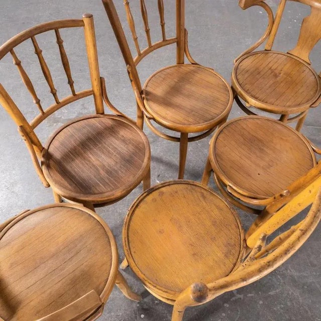 Bentwood Debrecen Blonde Dining Chairs, 1950s, Set of 6 For Sale - Image 9 of 10