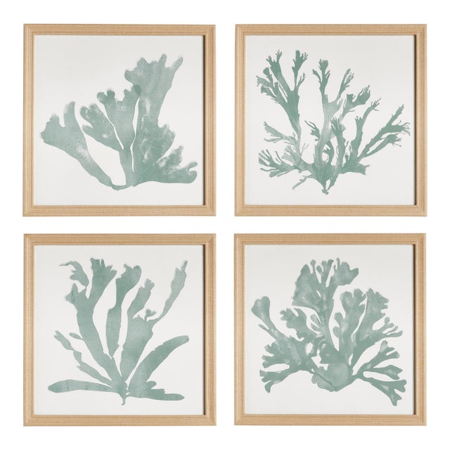 Coral Silhouettes In Soft Green, Set Of 4 For Sale