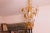 Crystal and Murano Glass Orange Flowers Chandelier, 1970s For Sale - Image 4 of 12