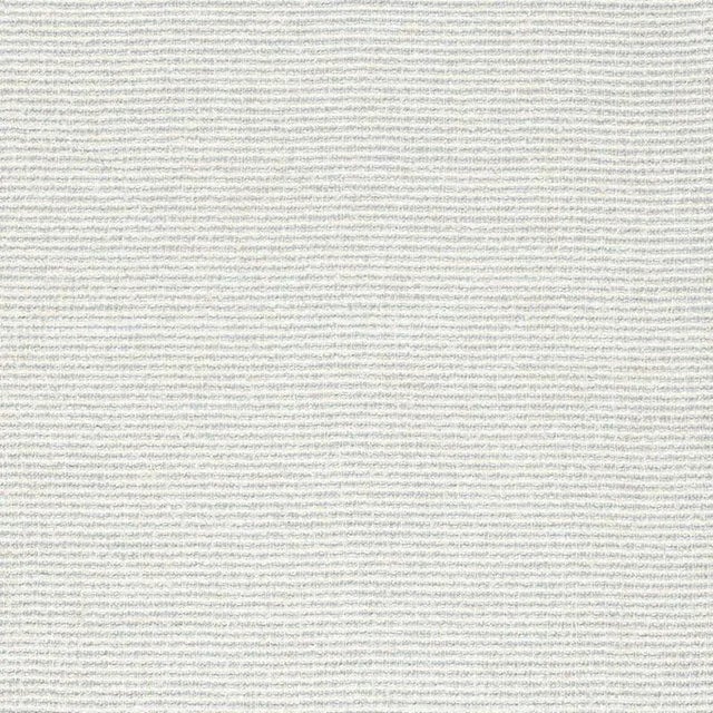 Schumacher Galapagos Sheer Fabric in Zinc For Sale