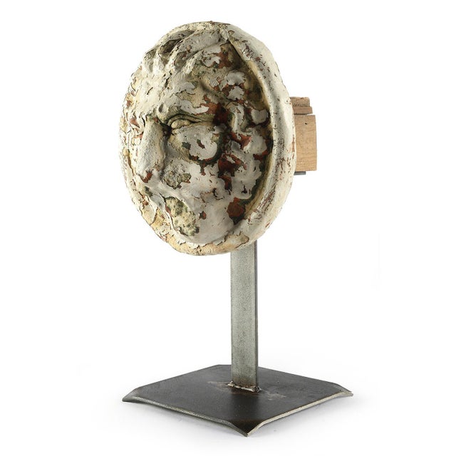 Belgian Terracotta Lion-Shaped Head Sculpture For Sale - Image 4 of 5