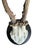 Roe Deer Trophy 211 Black Forest Antlers Mount For Sale - Image 4 of 5