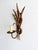 Vintage Gilt Metal Wheat Sheaf Wall Sconce, France, 1960s, in Very Good conditions. Designed 1960 to 1969 Up to 250V...