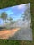 Old Florida; Highlands Hammock Park, Sebring Florida Photo Print, Pines and Palmetto. Four by Three Feet in Plastic For Sale - Image 12 of 18