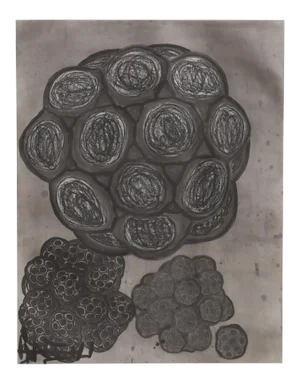 Terry Winters - #6 From Album Portfolio Etching With Aquatint