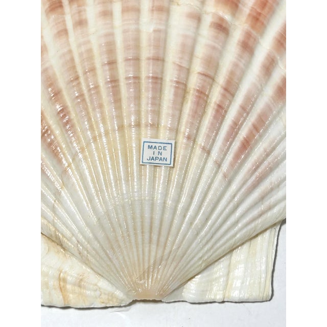 1970s Seashell Appetizer Plates & Forks – Coastal Set of 6 For Sale - Image 10 of 10