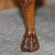 George I Burr Walnut Long Stool, 1720s For Sale - Image 9 of 18