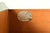 Green Michael Taylor for Baker Furniture Mid-Century Hollywood Regency Green Lacquered Campaign Dresser, Newly Refinished For Sale - Image 8 of 15