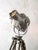 A strand electric patt 23 spotlight from the 1960s, stripped of its paint and bead blasted to raw aluminium, mounted on a...