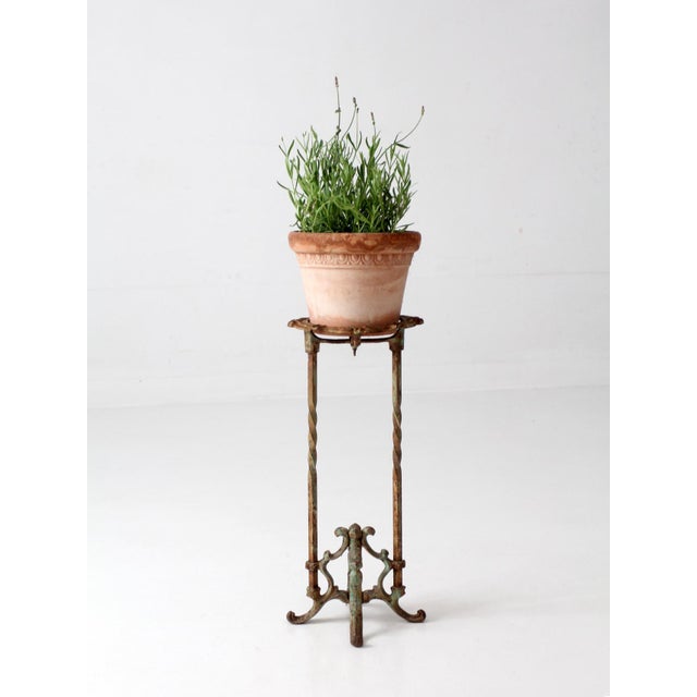 Antique Victorian Iron Plant Stand For Sale - Image 13 of 17