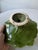 Early 20th Century Early 20th Century Green Majolica Footed Pedestal Plate Featuring a Cabbage Leaf Pattern For Sale - Image 5 of 5