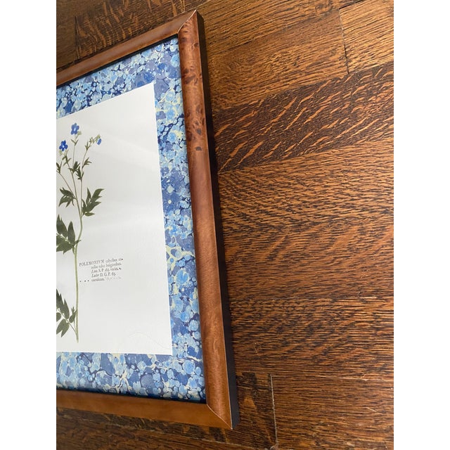 Reproduction Pressed Flower Botanical Prints - Custom Burlwood Frames - Set of 2 For Sale In New York - Image 6 of 8