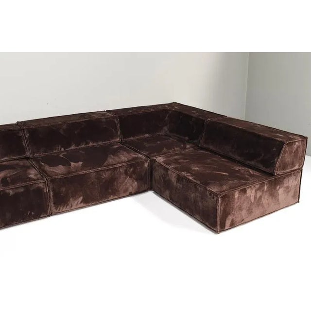 Chocolate Brown COR Trio Sectional Sofa, 1972, Set of 11 For Sale - Image 16 of 18