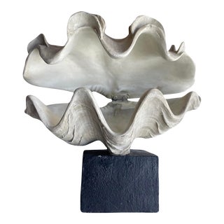 Mid 20th Century Vintage Realistic Giant Clam Shell Ceramic Sculpture For Sale