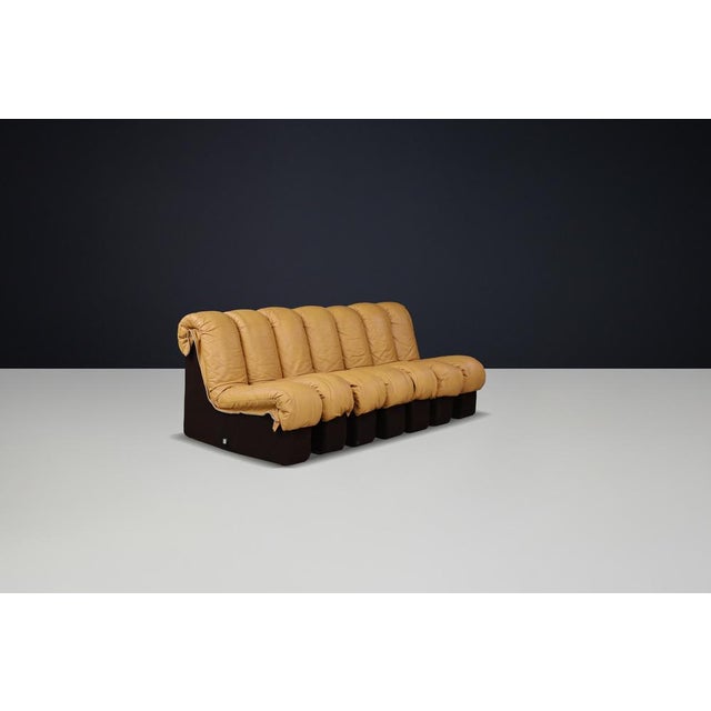 Gold DS-600 Snake Sectional Sofa in Tan Leather attributed to Ueli Berger for de Sede, 1972, Set of 7 For Sale - Image 8 of 14