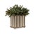 Name: Acanthus Stripe Mocha Planter Size: 8.5"H x 9"W x 7"D Acanthus Stripe is created from inspiration of the Henry...