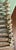 20th Century American Adirondack-Style Shelving Unit For Sale - Image 11 of 15