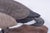 Brown William Porterfield Carved Wood Canadian Goose For Sale - Image 8 of 15