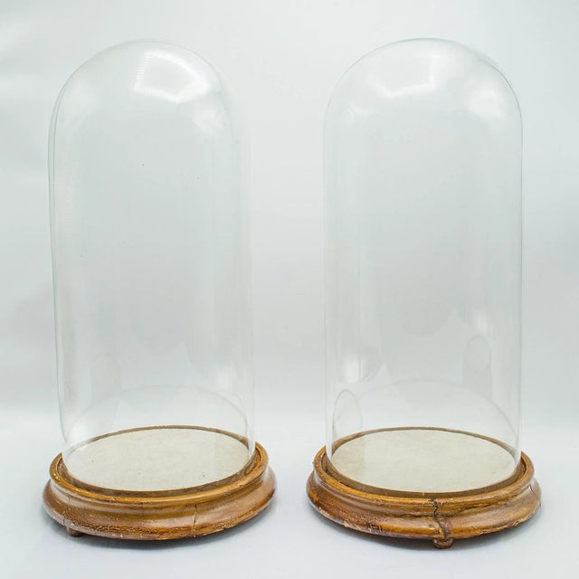1850's Pair of Antique Display Domes For Sale - Image 10 of 10