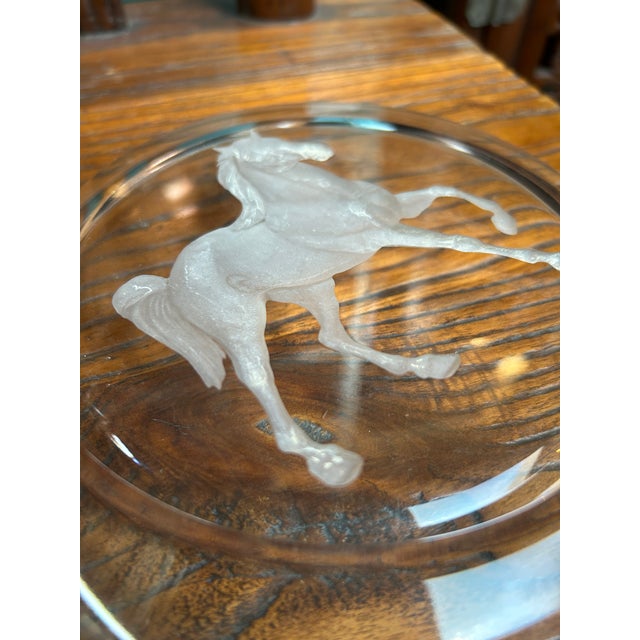 Clear Glass Back Relief Carved Horse Round Display Disc For Sale - Image 13 of 13