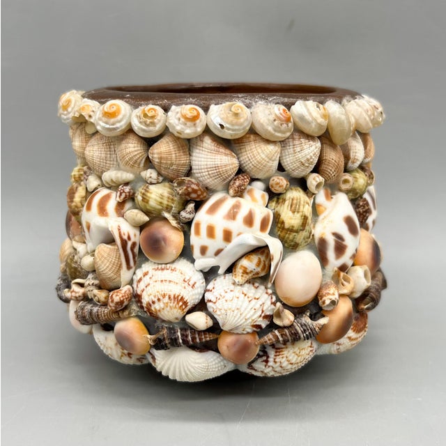 Cream Vintage Hawaiian Seashell-Encrusted Terracotta Cachepot Planter For Sale - Image 8 of 10