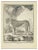 Jean Charles Baquoy, Le Lionee, Etching, 1771 For Sale