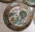 Late 19th Century Chinese Kangxi Style Famille Verte Peacock Porcelain Plates – Set of 7 For Sale - Image 12 of 13
