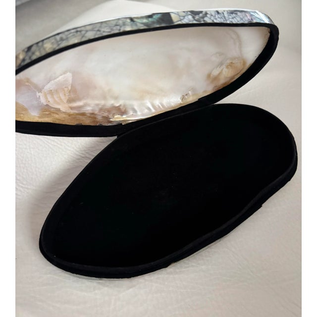 Large Natural Clam Decorative Box For Sale - Image 4 of 5