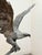 Life Size Bronze Eagle For Sale - Image 10 of 11