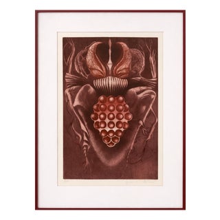 Jaroslava Pešicová, Wine Beetle, 1982, Limited Edition Print, Framed For Sale