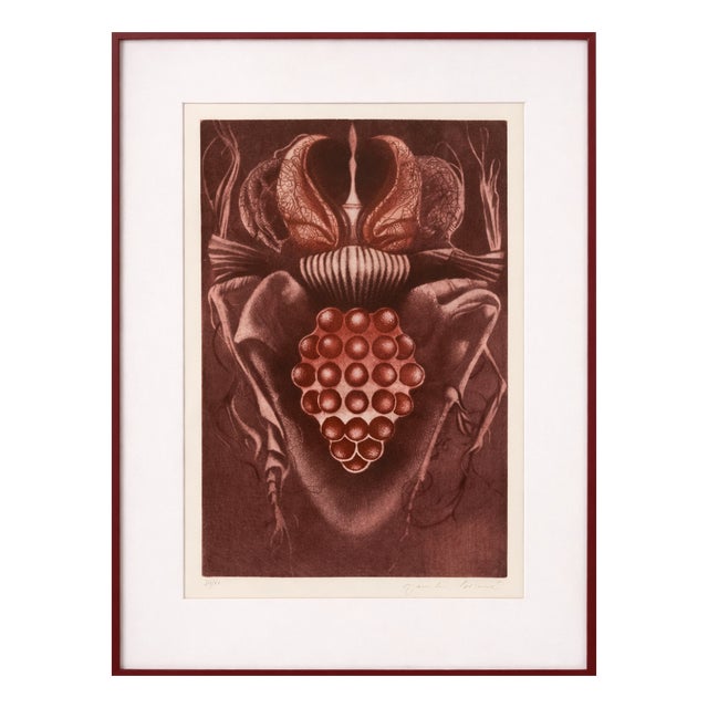 Jaroslava Pešicová, Wine Beetle, 1982, Limited Edition Print, Framed For Sale
