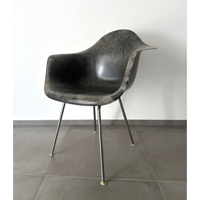 Dax Lounge Chairs by Charles and Ray Eames for Herman Miller, 1950s, Set of 4 For Sale - Image 9 of 13