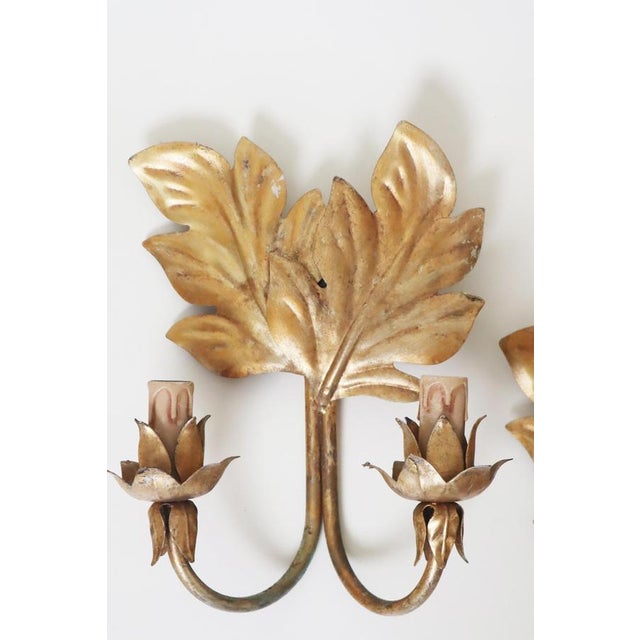 Metal Hollywood Regency Gilt Acanthus Leaf Wall Lights, 1950s, Set of 3 For Sale - Image 7 of 17